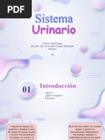 Sistema Urinario