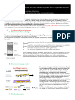 DST Ts Alpes Immuno Et Corrige