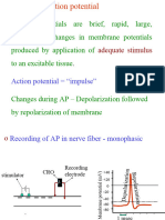 Action Potential