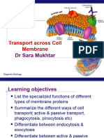 Transport Across Cell Membrane