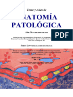 Anatomía - Patológica - Stevens