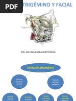 Enao Trigemino y Facial