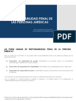 La Responsabilidad Penal de Las PPJJ-24