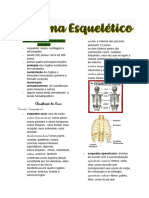 Resumo Sistema Esquelético