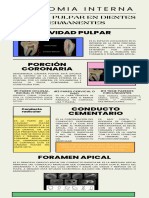 Infografía de Periódico Moderno Ordenado Colorido