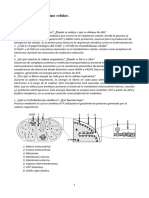 Ejercicios Metabolismo Hechos