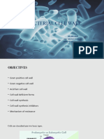 Bacterial Cell Wall