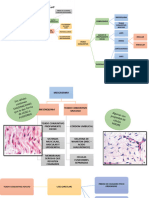 Histologiasesion2 Tejidoconjuntivo 230622195715 9fc4b962