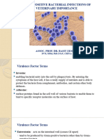 Gram Positive Bacteria Staphylococci, Streptococci