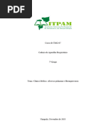 Trabalho Do VII Grupo-Tema Abcesso Pulmonar e Bronquiectasia