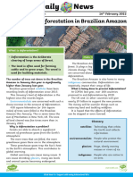 Deforestation in Brazilian Amazon