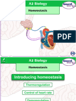 Homeostasis