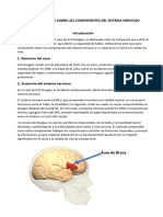 Estudio de Caso Sobre Los Componentes Del Sistema Nervioso