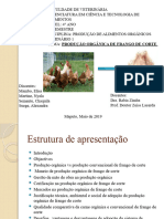 Slide Final Pr. Frango Organico