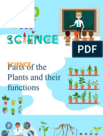 Parts of The Plants and Their Function