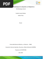 Morfofisiología - de - La - Digestión - en - Poligastricos Yeraldin Acosta