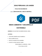 Monografía Medio Ambiente - Uno