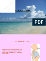 La Respiracion - 2024