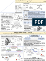 Assetsdocumentscourse 529le Systeme Nerveux Resume de Cours Ma PDF