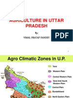 Uttar Pradesh