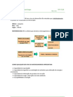 Sebenta Micro - JCCS