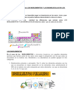 Explica La Diferencia Entre Los Bioelementos y Las Biomoleculas en Los Seres Vivos