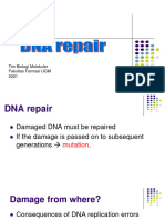 Kuliah 4. DNA Repair