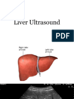 Liver