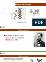 Acid Os Nuclei Cos