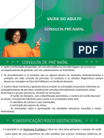 ConsultaPrNatalcompleta 20240416162458