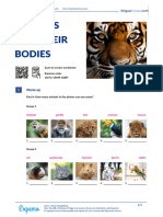 Animals and Their Bodies British English Student