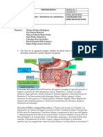 Taller. Metabolismos de Lipidos