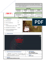 FICHA DE BMs - VILLA - PATA