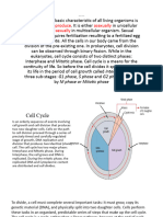 Cell Cycle and Checkpoints