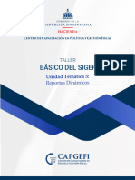 Unidad Temática 5. Reportes Dinámicos Taller Básico Del SIGEF 14 de Agosto de 2023. v.2