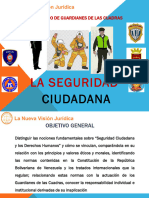 Seguridad Ciudadana1