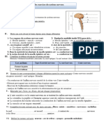 Exercices Du Systeme Nerveux 3apic