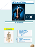 Tronco Y Cuello: Dr. Javier Blesa