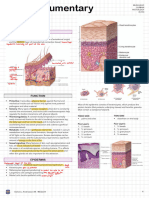 MLSHUHIC - Lesson 3 - The Integumentary System