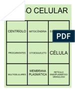 Cartelas Bingo Celula