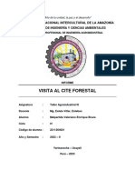 INFORME 02 Fisio Quimica Bruce Malpartida Valeriano Grupo1