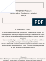 Protozoários