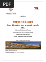 Boutaynasiyouri Rapport