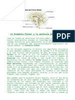 La Glándula Pineal y La DMT