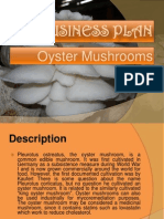 King Oyster Mushroom