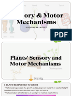 Senosory and Motor Mechanism - Group 7