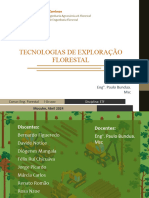 Plano de Exploração Florestal