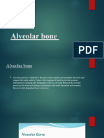 Alveolar Bone