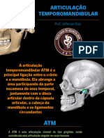 Articulação Temporomandibular: Prof. Jefferson Diaz