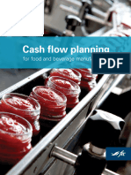 CC Cash Flow Guide e